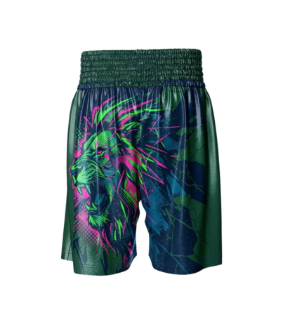 boxing shorts 01x copy