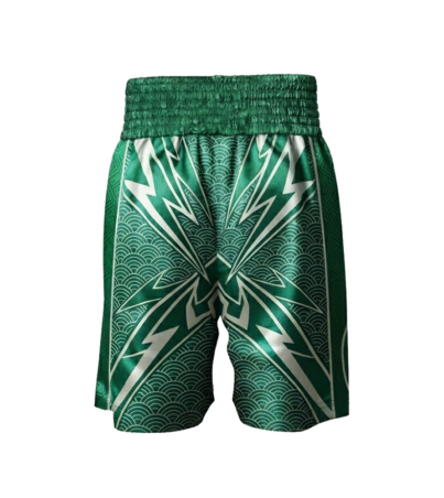 boxing shorts 07x copy