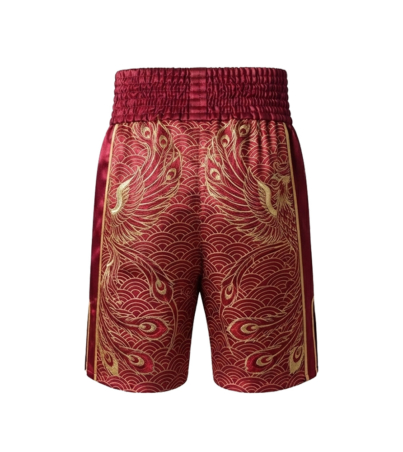 boxing shorts 10x copy